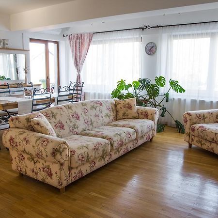 Silvia'S Apartment Voluntari Ngoại thất bức ảnh